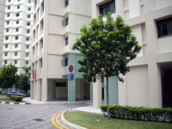 Jurong West Street 64 thumbnail photo